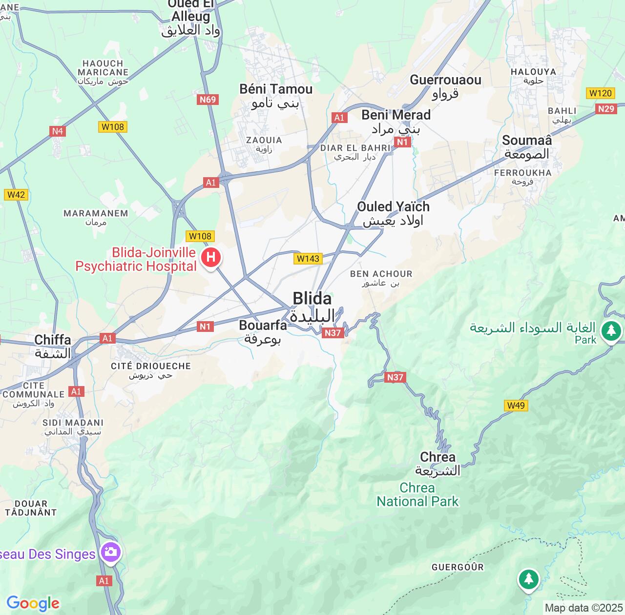 Map image for Intellectual Property Lawyers in Blida and Algeria IP firms at coordinates  ; .