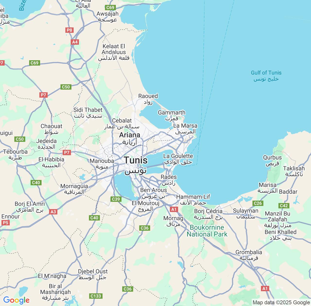 Map image for Intellectual Property Lawyers in Tunis Governorate and Tunisia IP firms at coordinates  ; .
