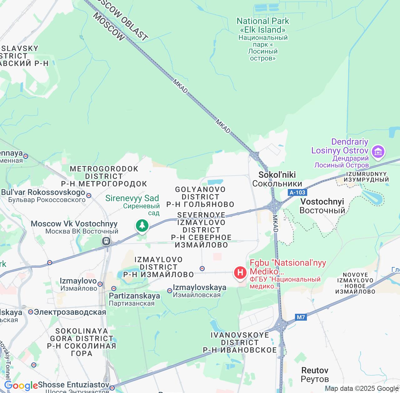 Map image for Intellectual Property Lawyers in Gol'yanovo and Moscow IP firms at coordinates  ; .