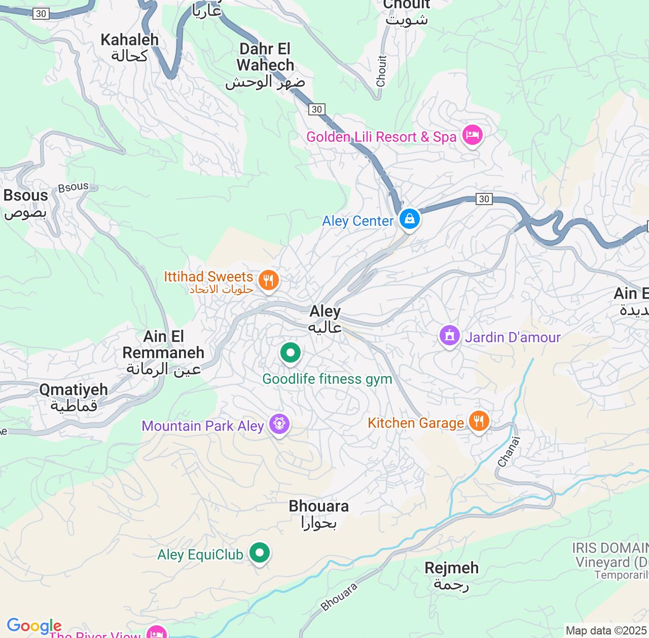 Map image for Intellectual Property Lawyers in Aley and Mont-Liban IP firms at coordinates  ; .